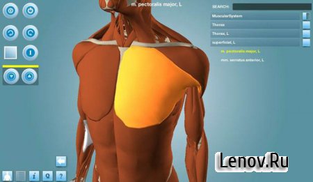 Anatomy 3D Pro - Anatronica (обновлено v 2.0.5)