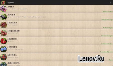 Ягоды. Справочник (обновлено v 1.33)