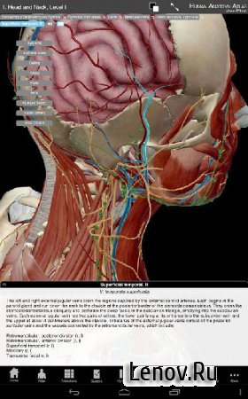 Human Anatomy Atlas 2026 v 2026.005.009 Мод (много денег)