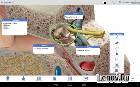 Human Anatomy Atlas 2026 v 2026.005.009 Мод (много денег)