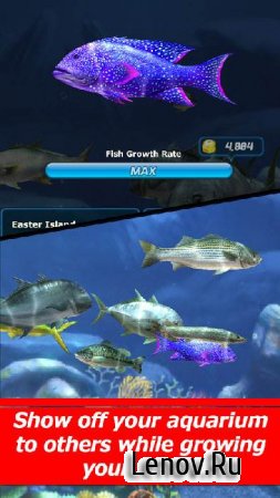 Улётный клёв: рыбалка в 3D v 8.0.1 Мод (простая ловля)