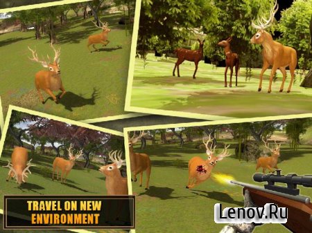 Deer Hunting - Sniper (обновлено v 2.2) Мод (свободные покупки)