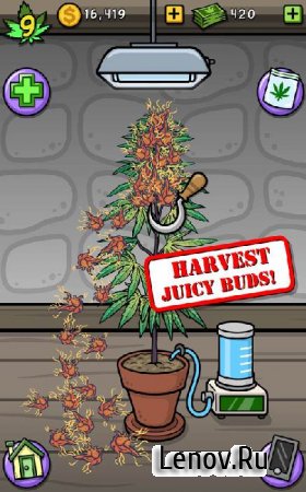 Bud Farm: Grass Roots v 29.3.1 Мод (Mod Money/Pot Bucks/Infinite Guano/Mystery Seeds)