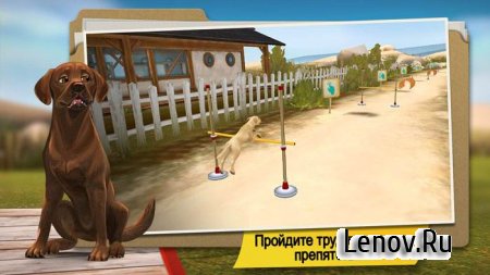 DogHotel - Мой отель для собак v 2.1.2 Mod (Unlocked)