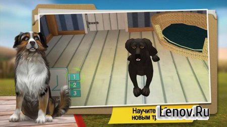DogHotel - Мой отель для собак v 2.1.2 Mod (Unlocked)