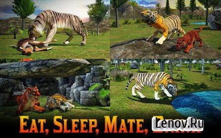 Adventures of Wild Tiger v 1.2