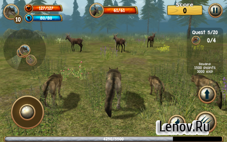 Wild Wolf Simulator 3D v 1.1 (Mod Money)