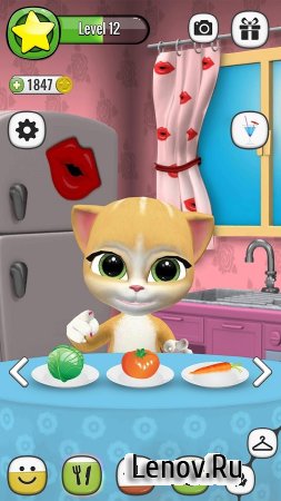 Emma The Cat - Virtual Pet v 1.1.1 (Mod Money)