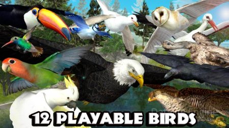 Ultimate Bird Simulator v 1.3 Mod (Unlocked)