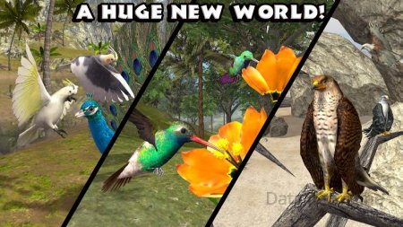 Ultimate Bird Simulator v 1.3 Mod (Unlocked)