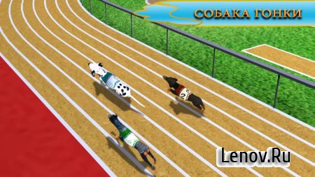 Dog Crazy Race Simulator v 1.0 (Mod Money)