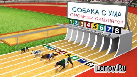 Dog Crazy Race Simulator v 1.0 (Mod Money)