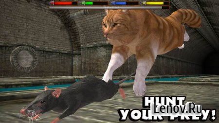 Ultimate Cat Simulator (обновлено v 1.1) Мод (много опыта)