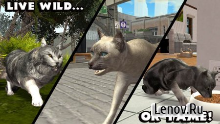 Ultimate Cat Simulator (обновлено v 1.1) Мод (много опыта)