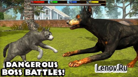 Ultimate Cat Simulator (обновлено v 1.1) Мод (много опыта)