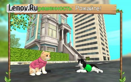 Cat Sim Online 216 (Mod Money)