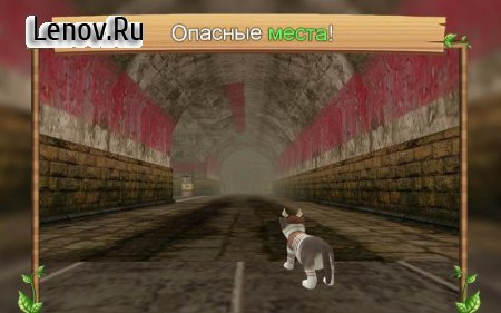 Cat Sim Online 216 (Mod Money)
