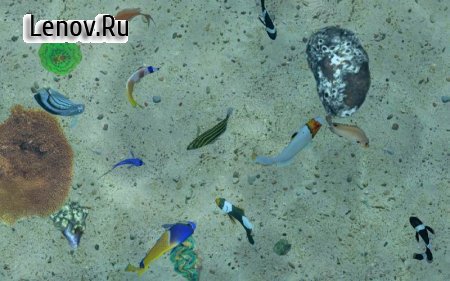 Fish Farm 3 - Real Life 3D Aquarium v 1.18.7180 (Mod Money)
