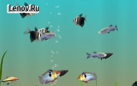 MyLake 3D Aquarium v 1.2.7180 Мод (Unlocked)
