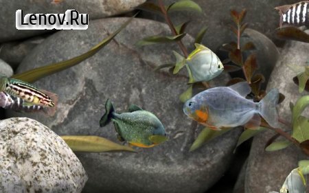 MyLake 3D Aquarium v 1.2.7180 Мод (Unlocked)