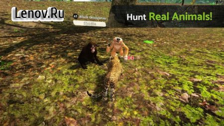 Panther Online v 1.2 (Mod Money)