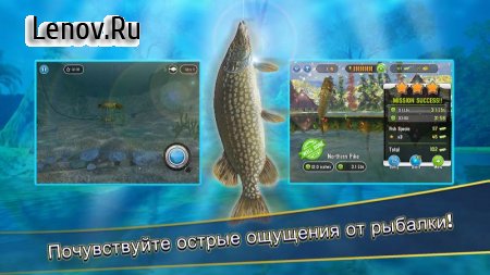 Fishing Simulator - Hook & Catch v 1.0.0 (Mod Money)