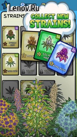 Bud Farm: Quest for Buds v 0.7.1 Мод (Cash/Gems/Gouna/PuffPuff)