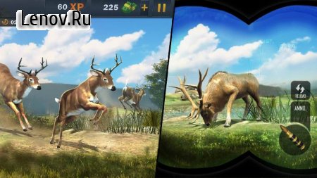 Animal Hunting Sniper Shooter v 1.7 Мод (Free Shopping)
