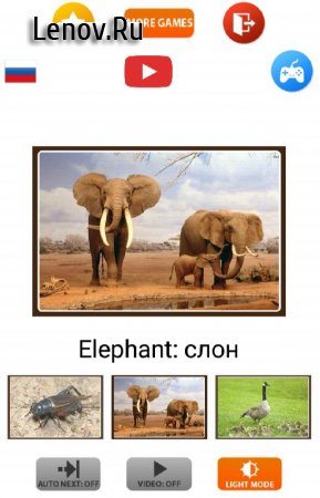 Animal sounds-Kids Game v 6.9 Мод (Ad Free)