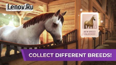 FEI Equestriad World Tour v 1.80 Mod (Free Shopping)