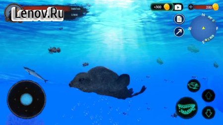The Sea Lion v 1.0.3 Mod (A lot of gold coins/No Ads)