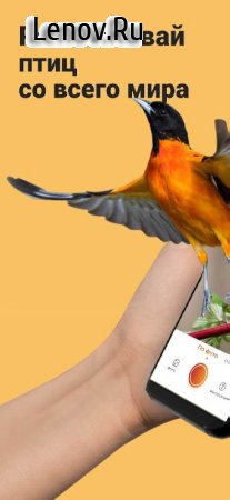 Picture Bird - Bird Identifier v 2.9.5 Mod (Premium)