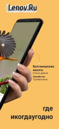Picture Bird - Bird Identifier v 2.9.5 Mod (Premium)