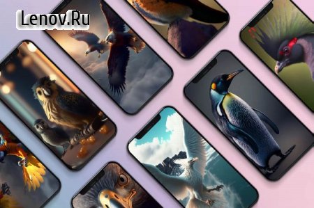 Wonder Walls v 1.0.1 Мод (полная версия)