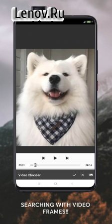 Reversify–Reverse Image Search v b3-full-m Мод (полная версия)