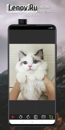Reversify–Reverse Image Search v b3-full-m Мод (полная версия)