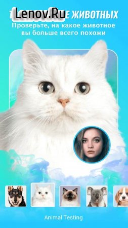 Toonpics-Cartoon Photo Editor v 1.4.0 Mod (VIP)