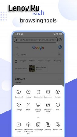 Lemur Browser - extensions v 2.5.0.001 Мод (полная версия)