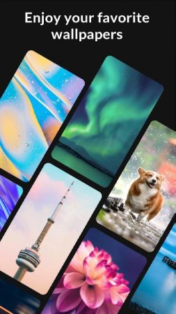 X Launcher - Model x launcher v 9.0 Mod (Unlocked)