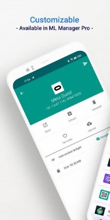 ML Manager Pro: APK Extractor v 4.2 Мод (полная версия)