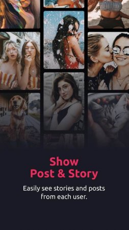 InSeen: Story & Profile Viewer v 4.6 b46 Mod (Premium)